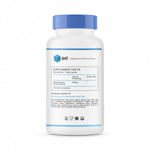 SNT Artichoke, 90 капсул