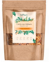 ByPlants Cordyceps Militaris, 50 гр
